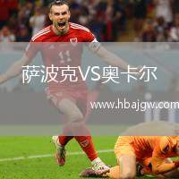 萨波克VS奥卡尔