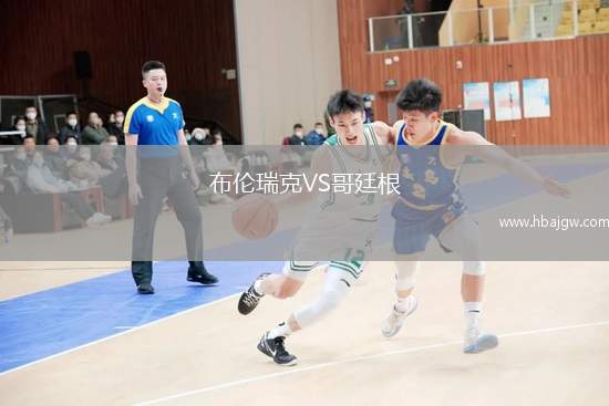 布伦瑞克VS哥廷根