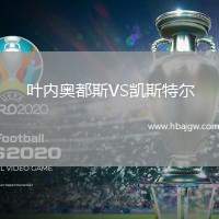 叶内奥都斯VS凯斯特尔