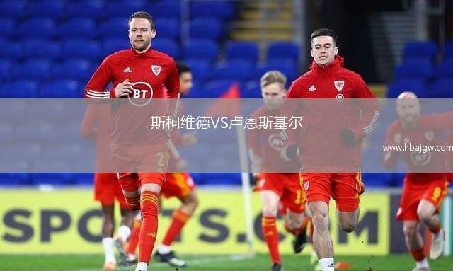 斯柯维德VS卢恩斯基尔