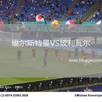 维尔斯特曼VS玻利瓦尔