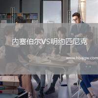 內塞伯尔VS明约匹尼克