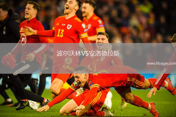 波尔沃林VS安洛德拉斯