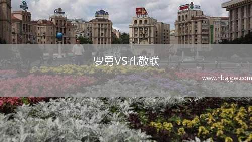 罗勇VS孔敬联