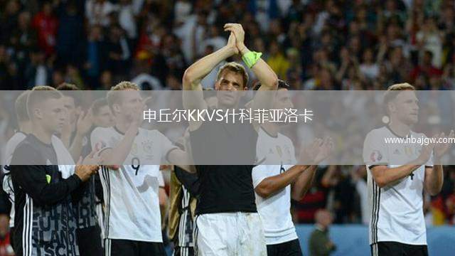 申丘尔KKVS什科菲亚洛卡