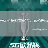 卡尔维诺阿莱VS瓦尔布伦巴纳