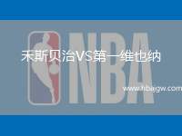 禾斯贝治VS第一维也纳
