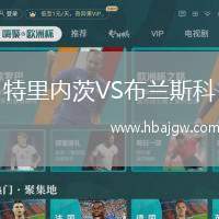 特里内茨VS布兰斯科