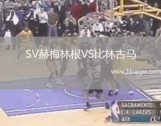 SV赫梅林根VS比林古马