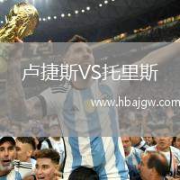 卢捷斯VS托里斯