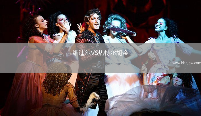 维迪尔VS热特尔胡金